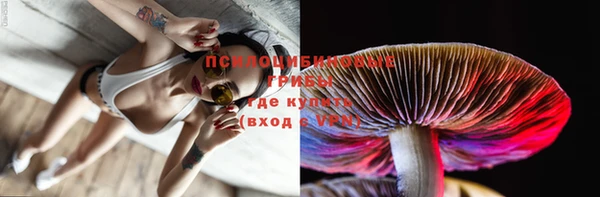 Альфа ПВП Козловка