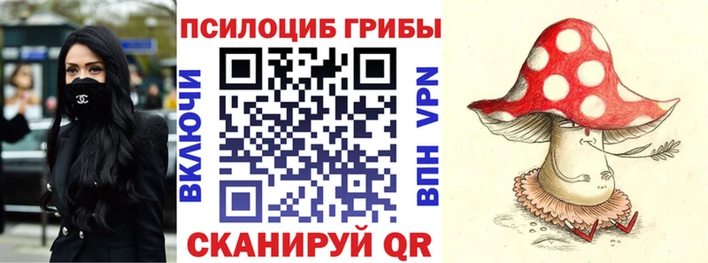 где купить наркоту  Костерёво  Псилоцибиновые грибы GOLDEN TEACHER 